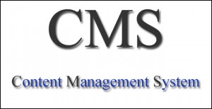 CMS website, manage website, website designing